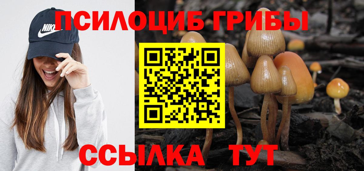 дарнет шоп  Вход с VPN  Невинномысск  Галлюциногенные грибы ЛСД 